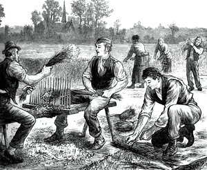 Vlas rimpelen, ca. 1880 door Unbekannt
