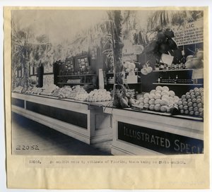 Florida tuinbouwtentoonstelling in het Paleis van Tuinbouw op de Wereldtentoonstelling 1904