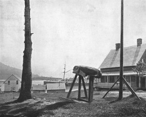 Fort Wrangell, Alaska, VS, ca. 1900
