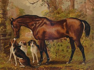 Vrijmetselaar - Favoriete jager van wijlen Hugo Meynell Ingram Esq., ca. 1879