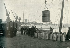 Franse melk gelost in Southampton, 1902 door Unbekannt