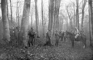 Franse patrouilles in het bos van Argonne, Frankrijk door Unbekannt