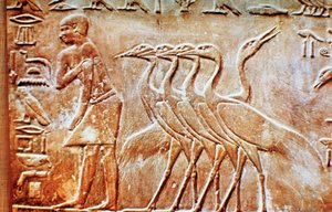 Ganzen, reliëf van de muur van het graf van Ptahhotep, Saqqara, Egypte, 24e eeuw v.Chr.