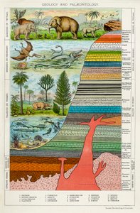 Geologie en Paleontologie door Unbekannt