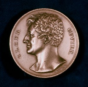 Georges Leopold Chretien Frederic Dagobert, Baron Cuvier, Franse anatoom, 19e eeuw