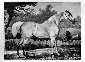 Gimcrack, 1760-1777, 1911 door Unbekannt