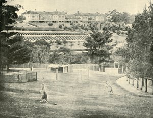 Gladesville Asylum voor de krankzinnigen, New South Wales, 1901 door Unbekannt