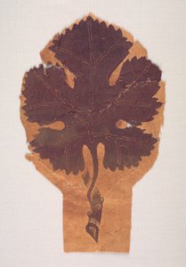 Druivenblad van een gordijn, 400-500