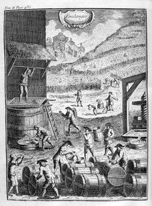 Druivenoogst, 1775