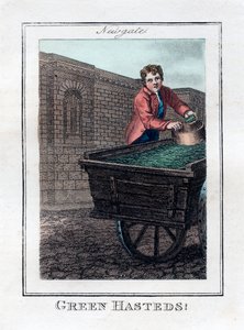 Green Hasteds, Newgate, Londen, 1805 door Unbekannt