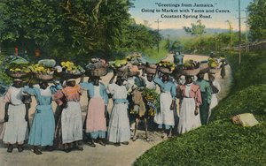 Groeten uit Jamaica. Naar de markt met yams en suikerriet. Constant Spring Road, 1913
