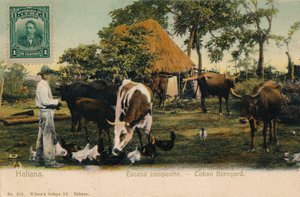 Habana. Escena campestre - Cubaanse Boerderij, c1910