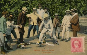Habana: Rina de Gallos. Hanengevecht, 1918