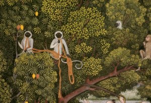 Hanuman-Langoeren Indiase miniatuur