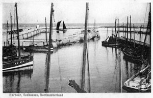 Haven, Seahouses, Northumberland, 1905