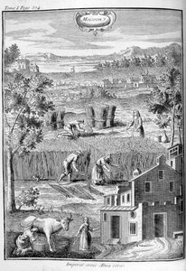 Oogst, 1775