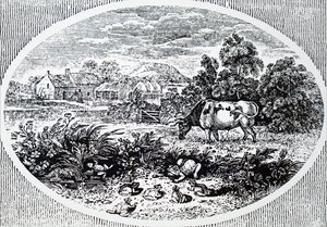 Hoofdstuk door Thomas Bewick door Unbekannt