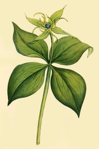 Herb Paris, laat 18e-begin 19e eeuw, 1944
