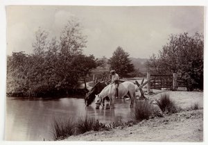 Paarden drinken bij een vijver, ca. 1890