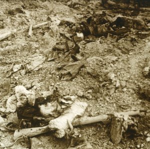 Menselijke resten, Verdun, Noord-Frankrijk, ca. 1914-ca. 1918 door Unbekannt