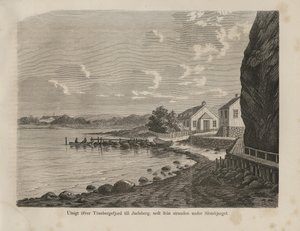 Illustratie uit het boek Nordiska taflor van onbekende auteur en uitgegeven door Albert Bonnier door Unbekannt