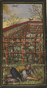 Illustratie voor De wonderlijke zomertijd van het eeuwige leven van Jacob Zader, 1603