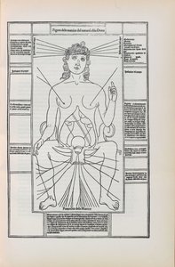 Illustratie uit Fasciculo di medicina door Johannes de Ketham, 1493 door Unbekannt