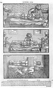 Illustratie uit Liber canonis de medicinis cordialibus door Avicenna, 1556 door Unbekannt