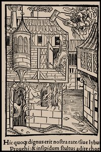 Illustratie voor het boek Ship of Fools door Sebastian Brant, 1497