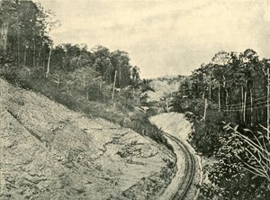 In de Blackall Ranges, 1901 door Unbekannt