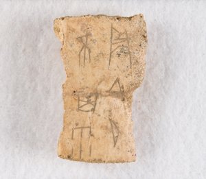Ingeschreven botfragment orakelbot, Late Shang-dynastie, ca. 1300-1050 v.Chr. door Unbekannt