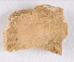 Ingesneden botfragment orakelbot, Late Shang-dynastie, ca. 1300-1050 v.Chr. door Unbekannt
