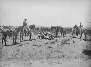 Inspectie van een Brandmerk op de Prairies