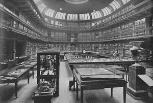 Interieur van het Geologisch Museum, Jermyn Street, 1904 door Unbekannt