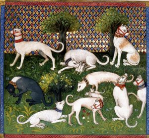 Jachthonden (Alan) / Livre de la Chasse