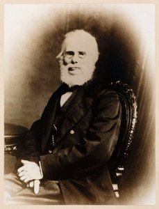 John Stringfellow, Engelse pionier luchtvaart, ca. 1880