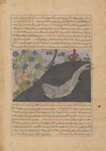 Jona en de Walvis, Folio uit een Majma