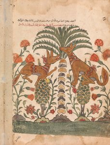 Kalila Berispt Dimna, Folio uit een Kalila wa Dimna, 18e eeuw door Unbekannt