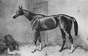 Kettledrum, ca. 1860s