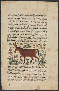Khar Ezel, uit een Nuzhat-nama-yi alai Excellent Boek van Raad..., 1400s door Unbekannt
