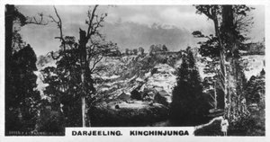 Kinchinjunga vanaf Beechwood, Darjeeling, India