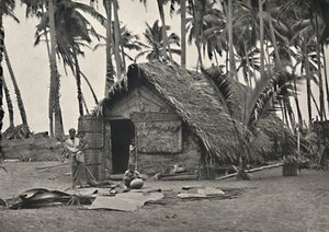 Kokospalmen en Inheemse Hut van Kokosbladeren