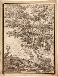 Landschap met groep bomen, 17e eeuw