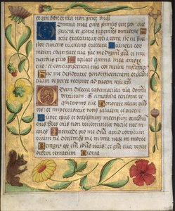 Blad uit een Psalter en Gebedenboek: Sierlijke Rand met Bloemen en Eekhoorn verso, ca. 1524