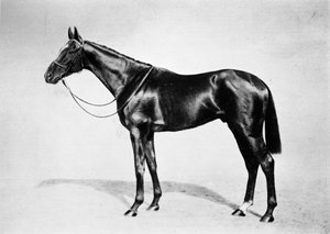 Lemberg, 1911