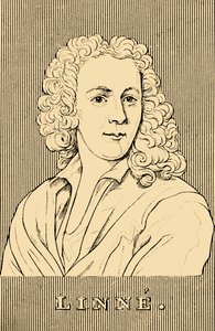 Linne, 1707-1778, 1830 door Unbekannt