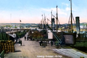 Aardappelen Laden, Jersey, 1908 door Unbekannt