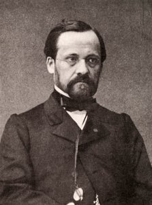 Louis Pasteur, Franse microbioloog en chemicus, 19e eeuw door Unbekannt