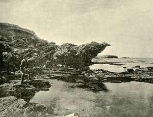 Laag tij, Shelly Beach, Warrnambool