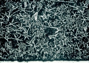Metalen, Non-ferrometalen, LM Tin-gebaseerde lagerlegering